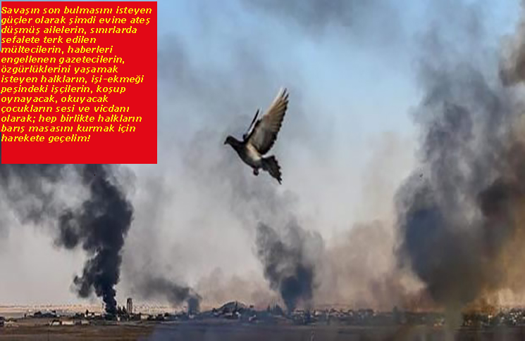 Şehit Tepeleri Yükselmesin, Halkların Barış Masası Kurulsun Acil Ateşkes, Askerler Evine Dönsün!