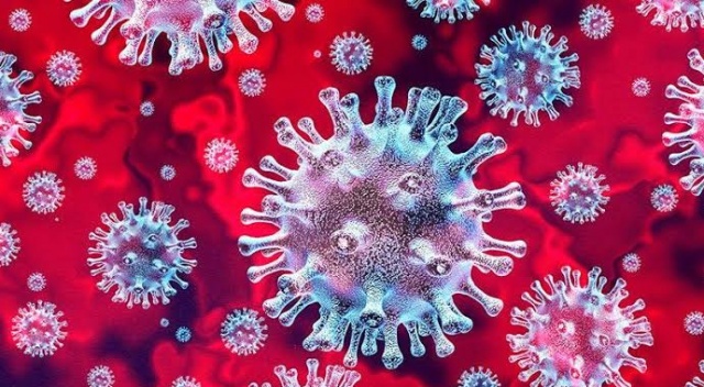 KORONA YASALARI, SALGININ ORTASINDA BÜYÜYEN KARANLIK