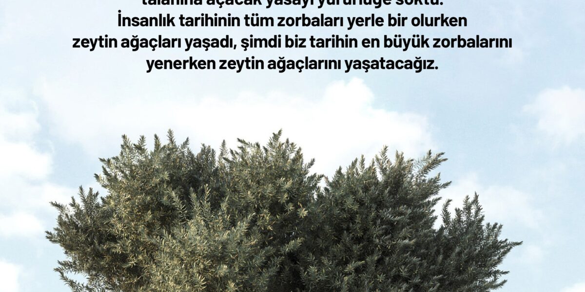 Zeytinliklerin talana ve tahribatına yol açacak yönetmelik değişikliği iptal edilmelidir.