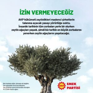 Zeytinliklerin talana ve tahribatına yol açacak yönetmelik değişikliği iptal edilmelidir.