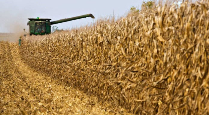 Ülkede tarımı bitirdiler! Şimdi de Venezuela’da tarım üretimi yapılacak masalı anlatıyorlar…￼