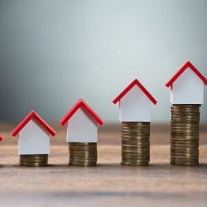 Devasa barınma sorununa rantçı projeler merhem olmaz 