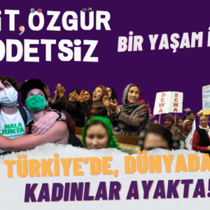 25 Kasım’da Dünyada, Türkiye’de Kadınlar Eşit, Özgür, Şiddetsiz Bir Yaşam İçin Yan Yana, Sokakta Olacak!