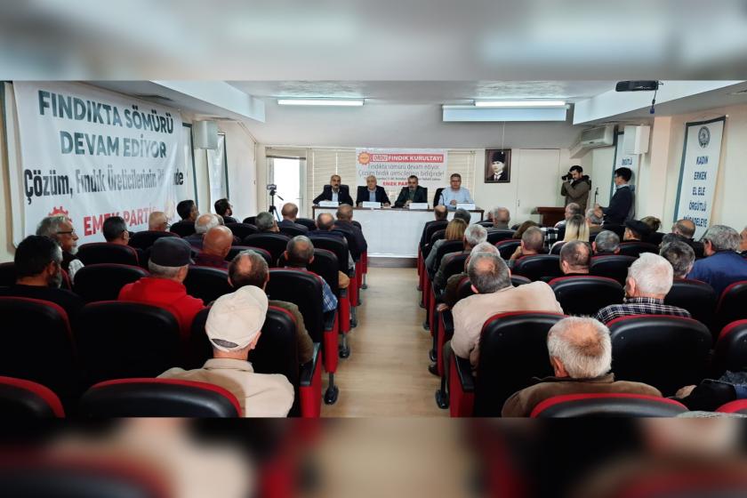  Emek Partisi Ordu İl Örgütünden ‘Fındık Kurultayı: Fındık için mücadele gerek