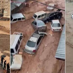 Afetlerde ölümler kader değildir! Kâr ve rant düzeni öldürür çürümüştür, değişmelidir.