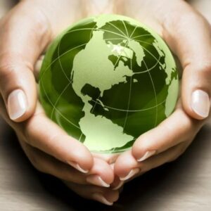 Doğanın Yağmalanmasının Sorumlusu Kapitalistlerdir. Son Vermek İçin Düzen Değişmelidir