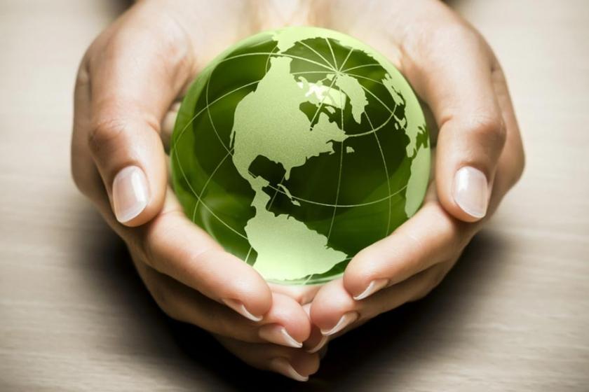 Doğanın Yağmalanmasının Sorumlusu Kapitalistlerdir. Son Vermek İçin Düzen Değişmelidir