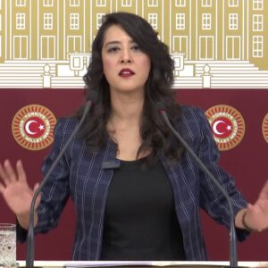 KARACA: İŞÇİLER 1 MAYIS’TA GÜCÜNÜ GÖSTERİRSE ŞİMŞEK PROGRAMINA DUR DİYEBİLİRİZ