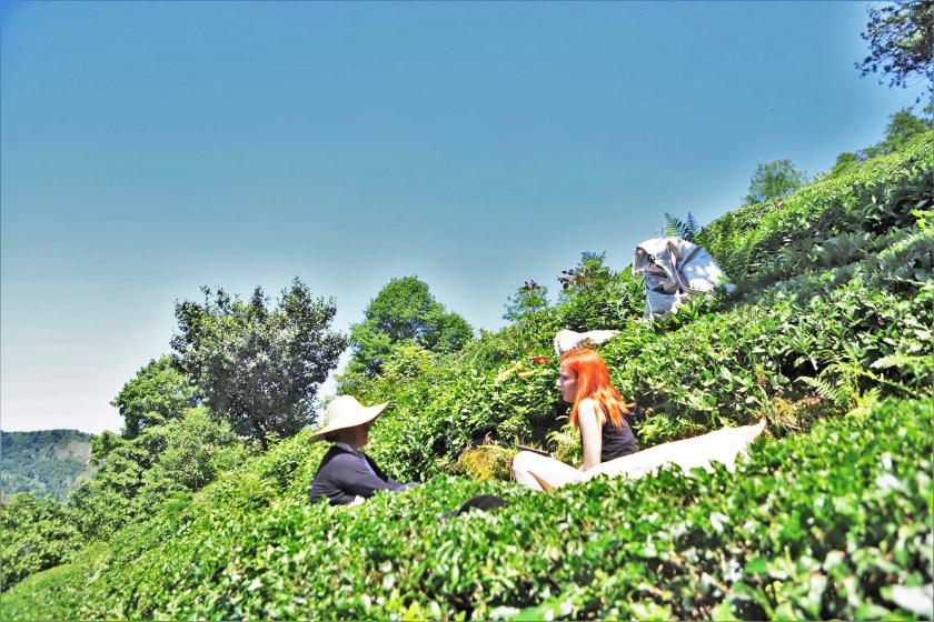 Belirlenen yaş çay fiyatı kabul edilemez