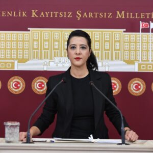 EMEP’li Karaca: Koruma Kararları Göstermelik Veriliyor, Kadınlar Öldürülüyor