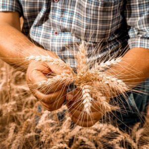 Bu Fiyatlar Köylüyü Tüccara Ezdirir!