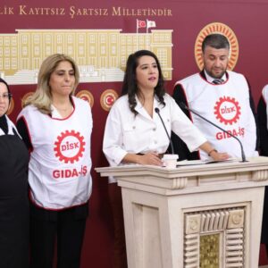 Sevda Karaca, Meclis kürsüsünü kamuda çalışan taşeron işçilere bıraktı