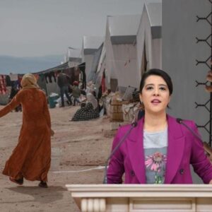 Yükseltilen mülteci düşmanı ses kimin sesi?