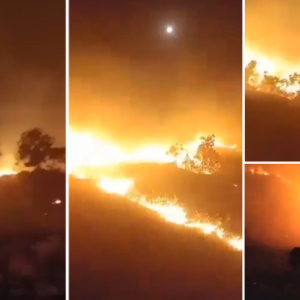 Yetersiz önlemler yangını felakete dönüştürdü