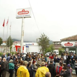 EMEP: ÇAYKUR, kota uygulamasıyla üreticiyi özele mahkum etti