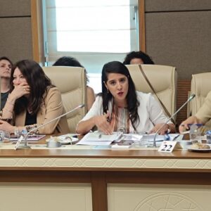 Karaca: İnsanların acılarının üstünde tepinip, hayvanları halkı kutuplaştırmanın aracı yapıyorsunuz