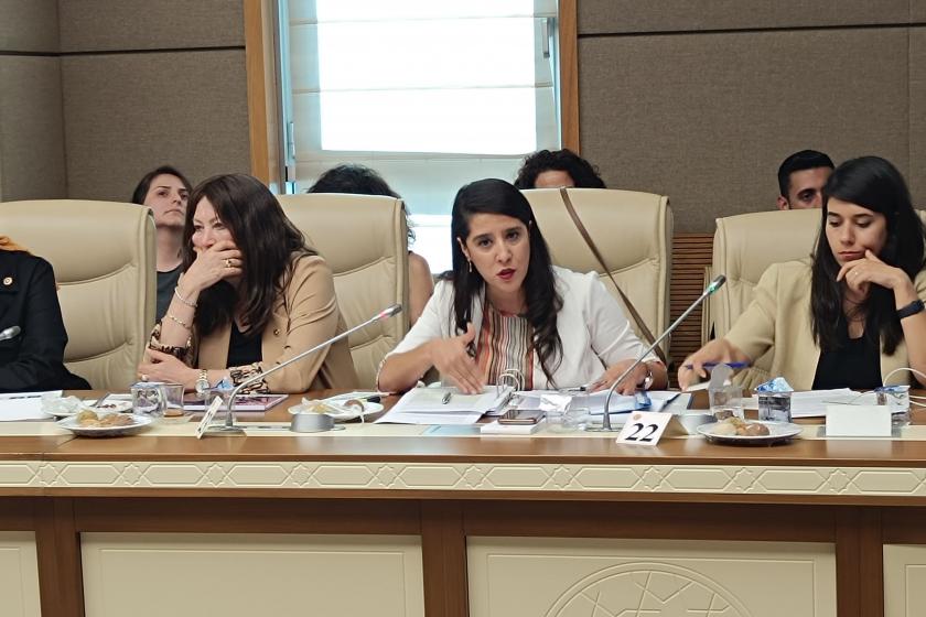 Karaca: İnsanların acılarının üstünde tepinip, hayvanları halkı kutuplaştırmanın aracı yapıyorsunuz