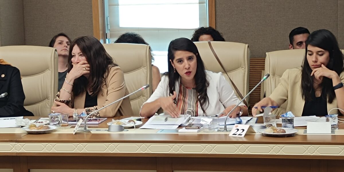 Emep’li Karaca Kefek Toplantısında Bakan Yerlikaya’ya Sorular Sordu