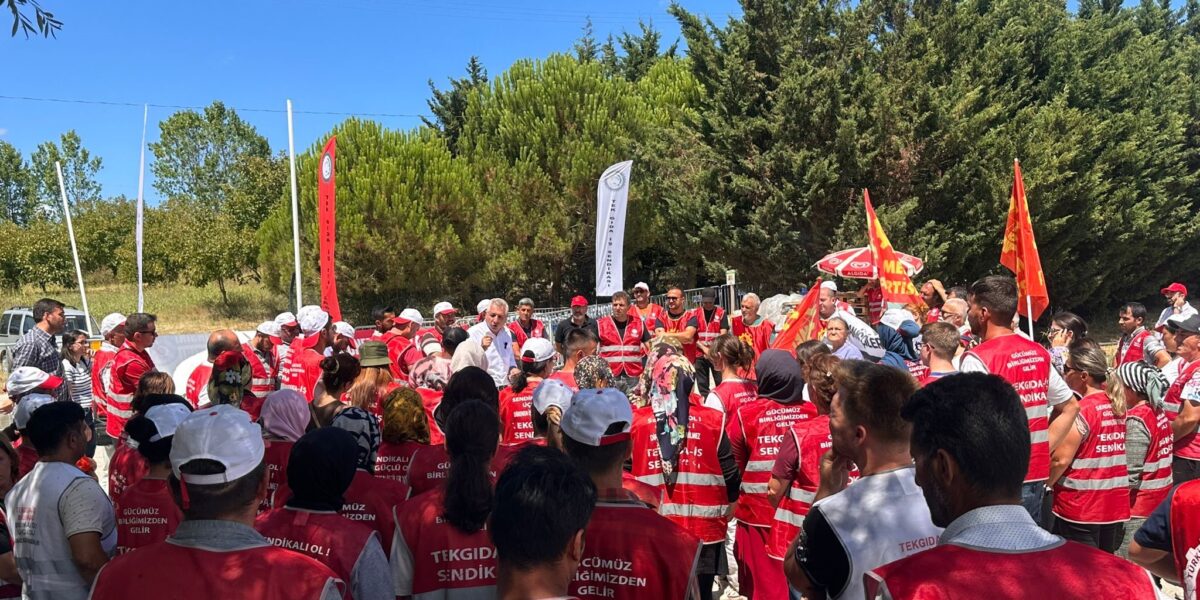 Polonez işçilerinin yanındayız!