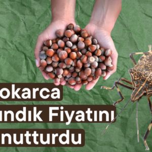 EMEP: Kokarca fındık fiyatını unutturdu