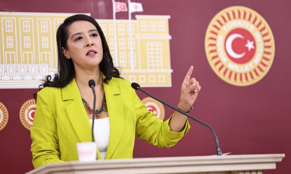 Sevda Karaca Çocukların Durumunu Değerlendirdi: Çocuklar Korumasız Ve Geleceksiz, Eğitim Enkaz