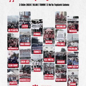 İşçiler, Emek Partisinin çağrısıyla talepleri için Meclis’te: Birleşe birleşe kazanacağız