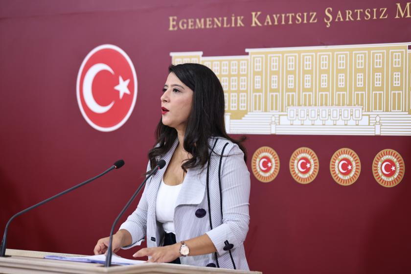 EMEP’li Karaca: Etki ajanlığı iktidarın garabet düzenlemesidir