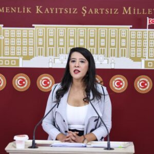 Sevda Karaca’dan Aile Bakanı’na: Bakanlığınız çökmüştür