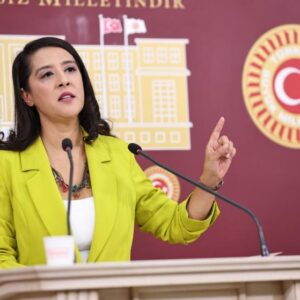 Çevre Bakanlığı bütçe görüşmesinde konuşan EMEP’li Karaca: Sizin tanıdığınız tek yeşil, dolar yeşili!