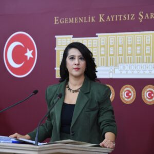 SEVDA KARACA: “SURİYE HALKLARININ GELECEĞİ EMPERYALİSTDEVLETLERİN GARANTÖRLÜĞÜNE BIRAKILAMAZ”