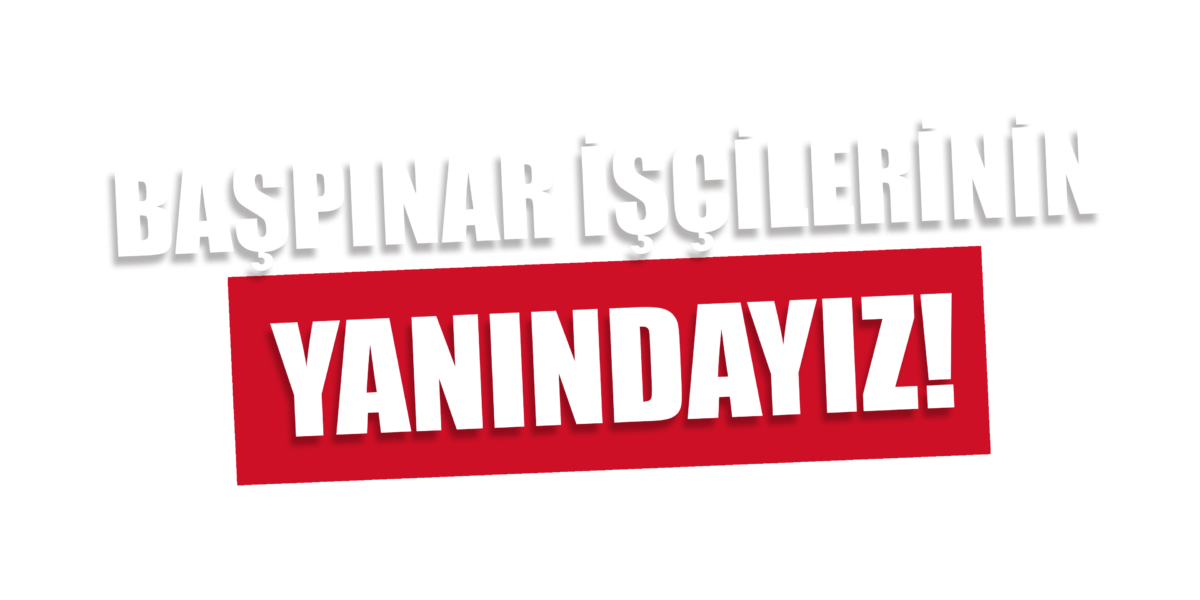 İskender Bayhan: Kamu Kime Ait?