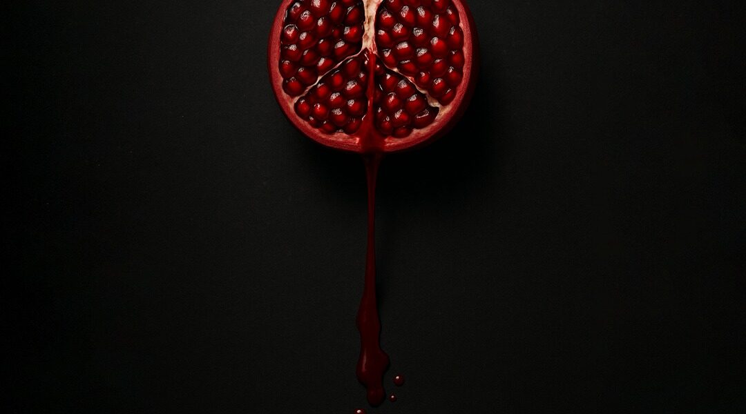 Soykırım politikalarıyla yüzleşilmeden demokratik bir gelecek kurulamaz!