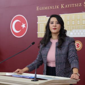 Sevda Karaca: Deprem suçlusunu kaçıran kaymakam hakkında neden işlem yapılmadı? Sevda Karaca: Deprem suçlusunu kaçıran kaymakam hakkında neden işlem yapılmadı?