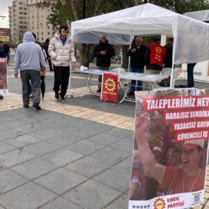 Emek Partisi’nden Kayseri ve Samsun’da 1 Mayıs’a çağrı