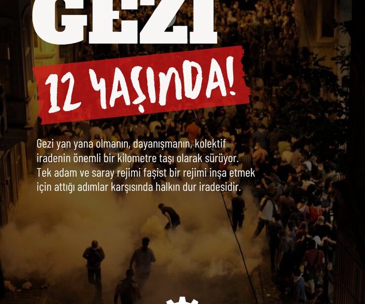 Seyit Aslan: Sarayın saltanatına, tek adam yönetimine karşı milyonların itirazı olan Gezi 12 yaşında