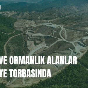 TARIM VE ORMANLIK ALANLAR SERMAYE TORBASINDA!