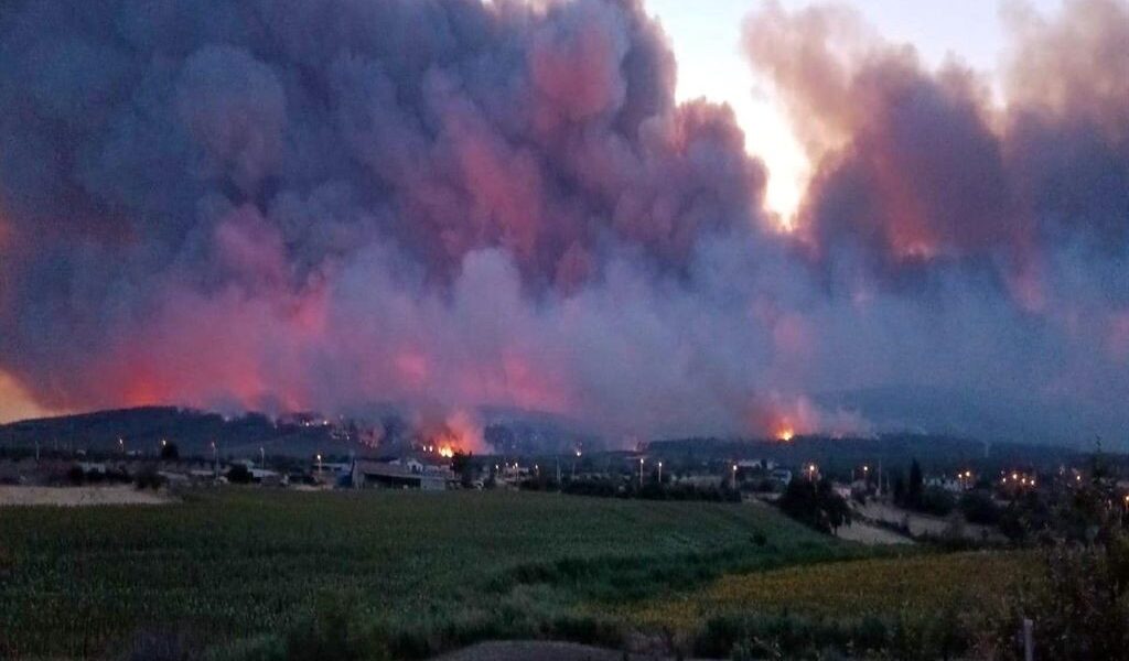 Orman yangınlarına göz yumuluyor, özelleştirmeler felaket getiriyor