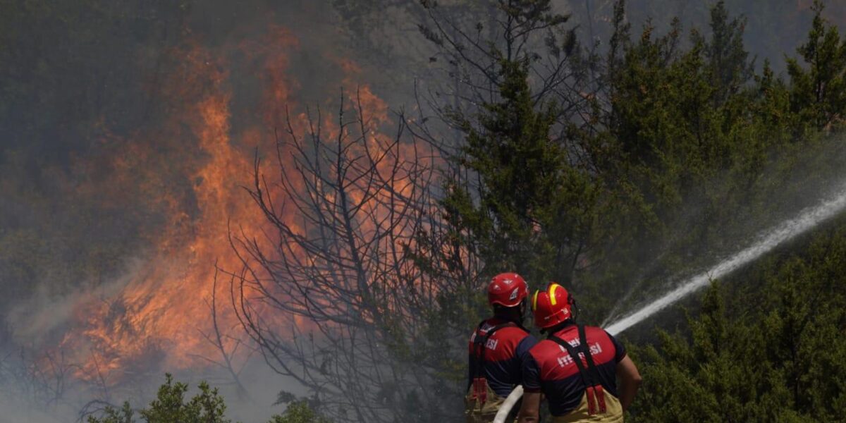EMEP Ordu İl Örgütü: Ormanlar kül olurken iktidar seyrediyor