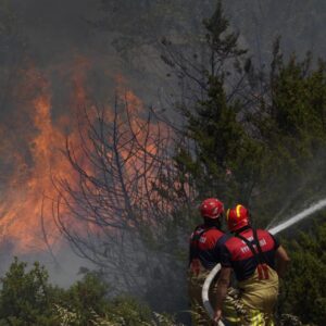 EMEP Ordu İl Örgütü: Ormanlar kül olurken iktidar seyrediyor