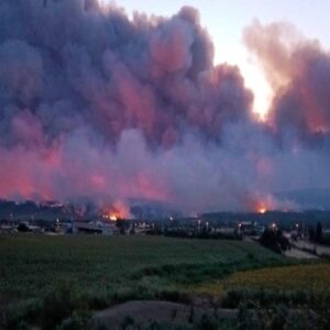 Orman yangınlarına göz yumuluyor, özelleştirmeler felaket getiriyor