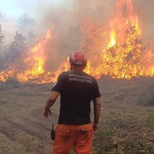 ORMANLAR YANIYOR, İŞÇİLER ÖLÜYOR, İKTİDAR BAKIYOR!