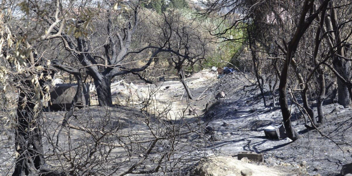 Hatay’dan İzmir’e doğal afet değil politik felaket