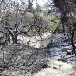 Hatay’dan İzmir’e doğal afet değil politik felaket