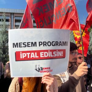 İskender Bayhan MESEM anketini Meclis gündemine getirdi: MESEM, çocuk emeğini sömürüyü meşrulaştırıyor