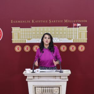 Sevda Karaca: 11. Yargı paketi faşizmin zapturapt belgesidir Sevda Karaca: 11. Yargı paketi faşizmin zapturapt belgesidir