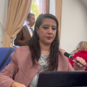 Sevda Karaca: Aile Bakanlığı kadınları güçlendirmiyor, yoksulluğu ve şiddeti örgütlüyor