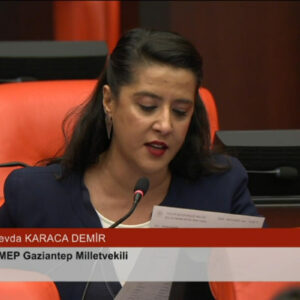 ‘Sağlık emekçileri ıssız arazide bırakıldı’ iddiası Meclis’te | Sevda Karaca: Bu bir yaşam hakkı ihlali ‘Sağlık emekçileri ıssız arazide bırakıldı’ iddiası Meclis’te | Sevda Karaca: Bu bir yaşam hakkı ihlali