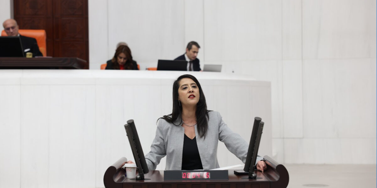 Karaca: Tarih sizi “kanun yapanlar” diye değil, halkın sofrasından çalanlar diye yazacak