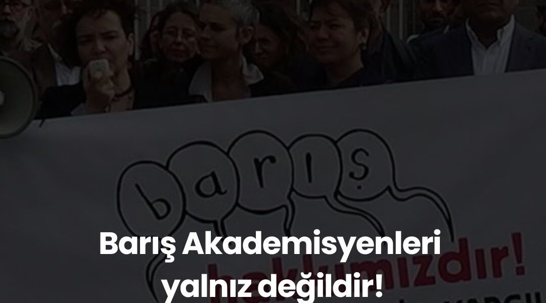 Barış Akademisyenleri yalnız değildir!