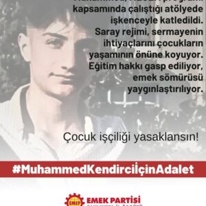 Seyit Aslan: MESEM programları iptal edilmeli, çocuk işçiliği yasaklanmalıdır